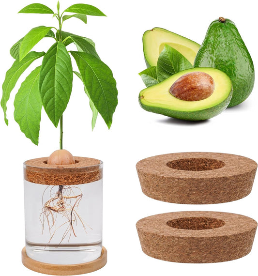 5 Pcs Avocado Tree Growing Kits, Avocado Pit Planting Bowl with 3 Pcs Cork and Wooden Base Avocado Seed Starter Vase Glass Plant Pot for Gardening Lovers Gift Home Office Table Decoration  Bylion   